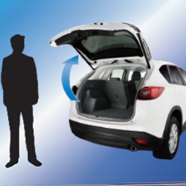 Power Rear Gate System